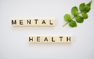 Anketa “Novinari i mentalno zdravlje”